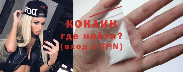 гидра Володарск