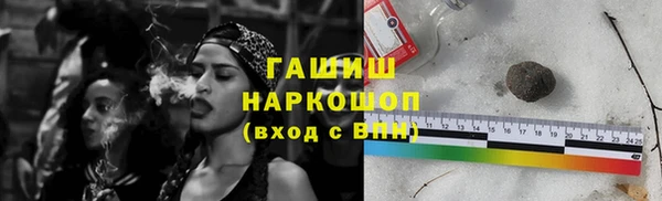 гидра Володарск