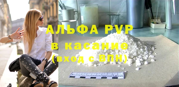 гидра Володарск