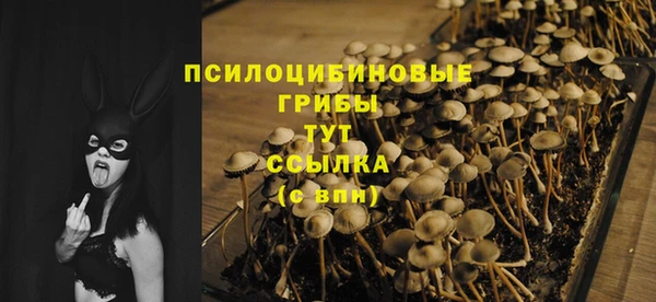 гидра Володарск