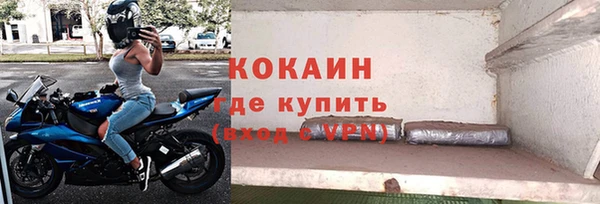 гидра Володарск
